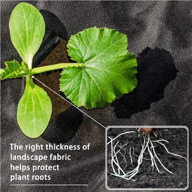 ورق مالچ زیست تخریب پذیر