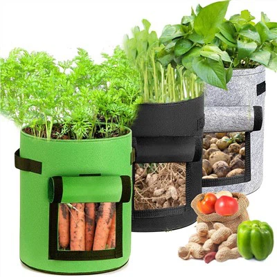 کیسه رشد گیاه غیر بافته شده